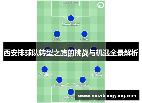 西安排球队转型之路的挑战与机遇全景解析