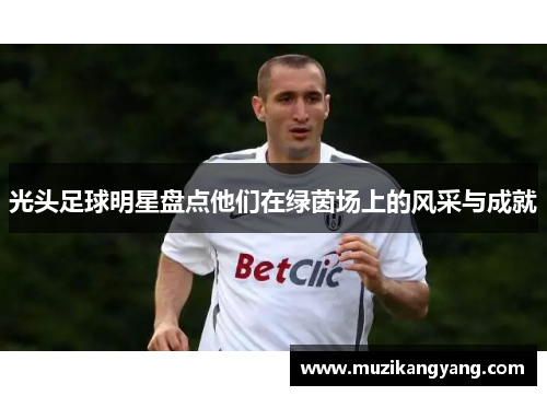 光头足球明星盘点他们在绿茵场上的风采与成就